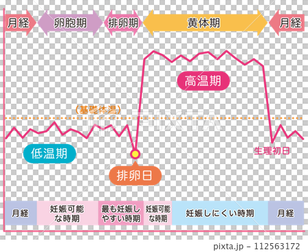 基礎体温のグラフ　女性ホルモン　妊娠　月経 112563172