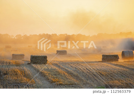 Round square bales of pressed dry wheat straw on field after harvest. Summer sunny evening sunset dawn. Field bale pressed wheat. Dust. Agro industrial harvesting works. Agriculture agrarian landscape 112563379