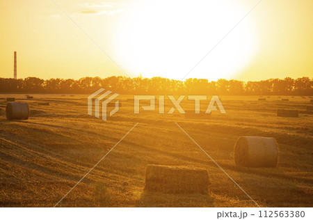 Round square bales of pressed dry wheat straw on field after harvest. Summer sunny evening, sunset dawn. Field bales of pressed wheat. Agro industrial harvesting works. Agriculture agrarian landscape Round square bales of pressed dry wheat straw on field after harvest. Summer sunny evening, sunset dawn. Field bales of pressed wheat. Agro industrial harvesting works. Agriculture agrarian landscape 112563380