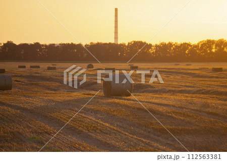 Round square bales of pressed dry wheat straw on field after harvest. Summer sunny evening, sunset dawn. Field bales of pressed wheat. Agro industrial harvesting works. Agriculture agrarian landscape Round square bales of pressed dry wheat straw on field after harvest. Summer sunny evening, sunset dawn. Field bales of pressed wheat. Agro industrial harvesting works. Agriculture agrarian landscape 112563381