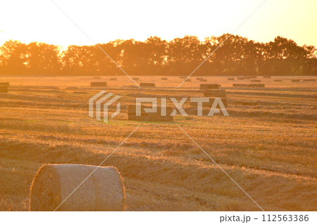 Round square bales of pressed dry wheat straw on field after harvest. Summer sunny evening, sunset dawn. Field bales of pressed wheat. Agro industrial harvesting works. Agriculture agrarian landscape Round square bales of pressed dry wheat straw on field after harvest. Summer sunny evening, sunset dawn. Field bales of pressed wheat. Agro industrial harvesting works. Agriculture agrarian landscape 112563386