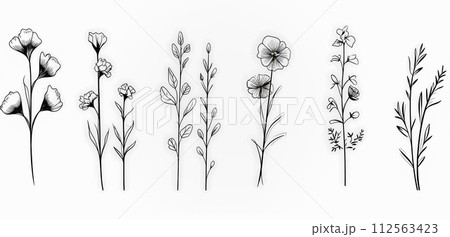 AI-generated content. doodle summer meadow plants and insects in a line art style. 112563423