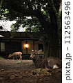 奈良の鹿と日本家屋 112563496