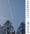 飛行機雲と並木 112564044