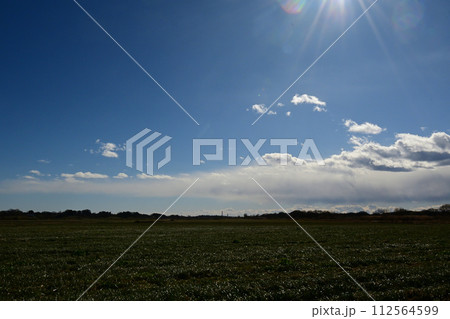 荒川河川敷、ビオトーブの冬景色 112564599