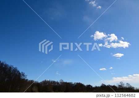 荒川河川敷、ビオトーブの冬景色 112564602