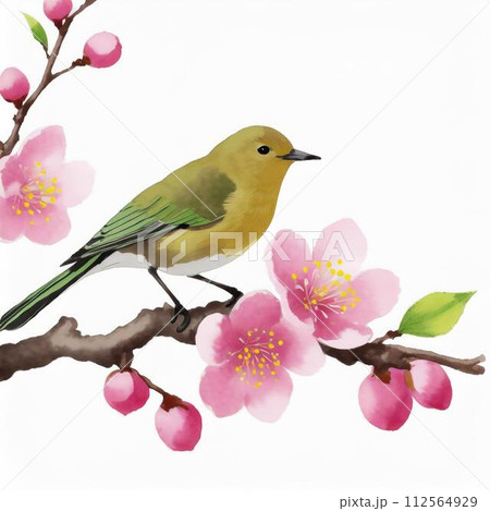 梅の花と鳥のイラスト素材 [112564929] - PIXTA