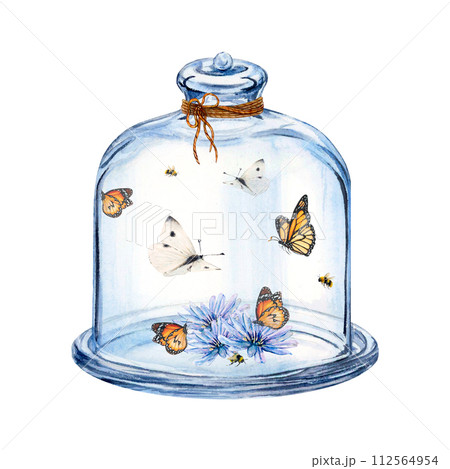 Cloche glass butterfly flower watercolor drawing dome. Glassware dish tray high lid. Summer insect bouquet. Spring bees. Transparent aquarelle isolated white background. Clear clean utensil tableware Cloche glass butterfly flower watercolor drawing dome. Glassware dish tray high lid. Summer insect bouquet. Spring bees. Transparent aquarelle isolated white background. Clear clean utensil tableware 112564954