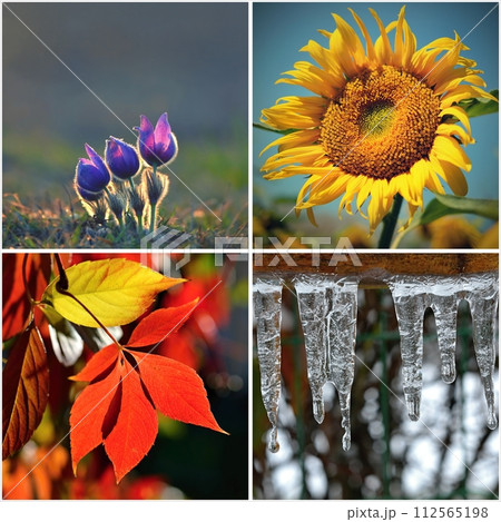 Four seasons collage 112565198