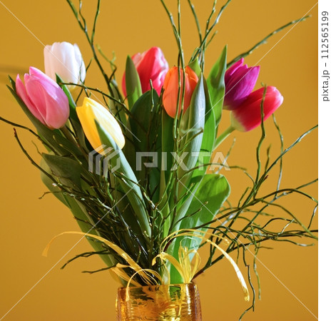 Spring background with flowers. Beautiful colorful tulip on a sunny day. Nature photography in spring time. 112565199