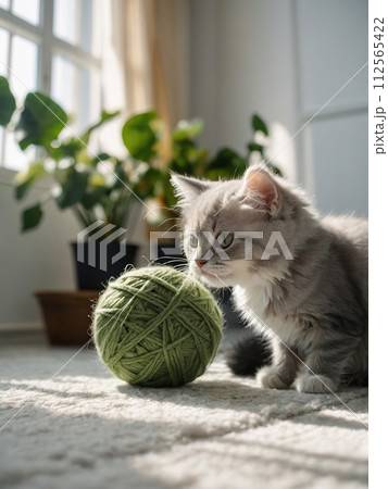 Happy sleepy tabby fluffy Persian cat plays with beautiful balls, skeins of thread. The kitten looks at the camera. 112565422