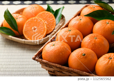 はまさき みかん 佐賀県産(畳バック) はまさき みかん 佐賀県産(畳バック) 112565562