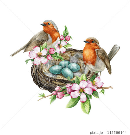 Birds on the nest vintage style decor element. Watercolor illustration. Hand drawn robins on the nest with egg laying, spring garden flowers, green leaves. Springtime decoration. White background Birds on the nest vintage style decor element. Watercolor illustration. Hand drawn robins on the nest with egg laying, spring garden flowers, green leaves. Springtime decoration. White background 112566144