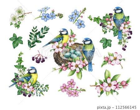 Spring decor set with garden birds, flowers. Watercolor vintage style illustration. Hand drawn blue-tit bird, nest, garden flowers elements. Spring season cozy painted collection. White background Spring decor set with garden birds, flowers. Watercolor vintage style illustration. Hand drawn blue-tit bird, nest, garden flowers elements. Spring season cozy painted collection. White background 112566145