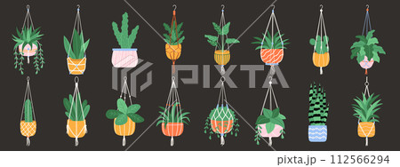 Set of macrame hangers. Home plants in stylish planters and pots 112566294