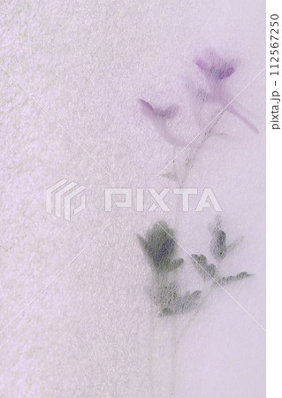 和紙と山野草のコラボ(背景素材) 和紙と山野草のコラボ(背景素材) 112567250