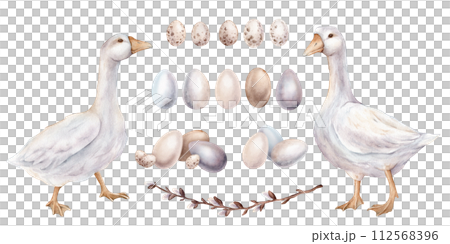 Set of chickens eggs and willow branches and goose. For Easter design. Watercolor hand drawn painting illustration isolated on a white background. Painted eggs minimalistic light pastel colors. Set of chickens eggs and willow branches and goose. For Easter design. Watercolor hand drawn painting illustration isolated on a white background. Painted eggs minimalistic light pastel colors. 112568396