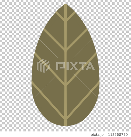 Dark Green Leaf Element Design Leave Element Design Natural Element Design Isolated Leaf illustration Dark Green Leaf Element Design Leave Element Design Natural Element Design Isolated Leaf illustration 112568750
