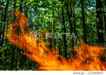 Flame of charcoal fire. Hearth for cooking and heating. Danger in forest 112569647