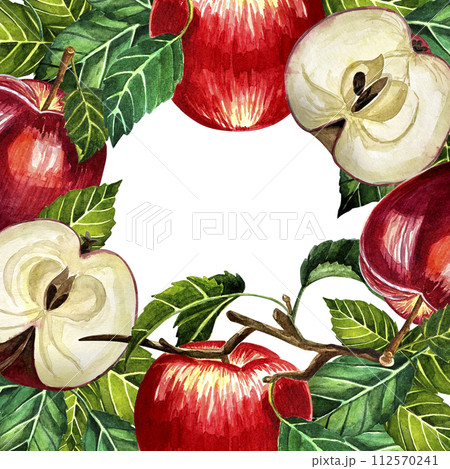 Watercolor apples frame botanical illustration. Card design with apple flowers and leaf. Watercolor botanical illustration isolated on white background. 112570241
