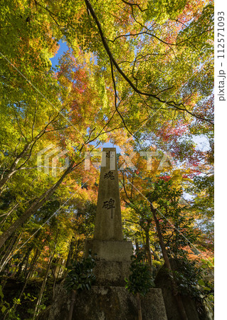 日本 滋賀県愛知郡愛荘町にある湖東三山の一つ、金剛輪寺の忠魂碑と紅葉 日本 滋賀県愛知郡愛荘町にある湖東三山の一つ、金剛輪寺の忠魂碑と紅葉 112571093