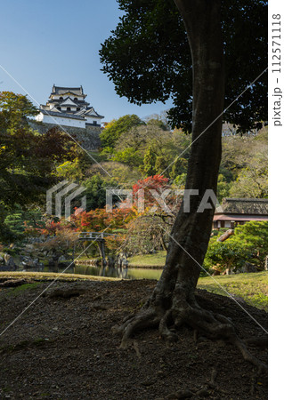 日本　滋賀県彦根市の大名庭園、玄宮園の魚躍沼と鶴鳴渚と彦根城の天守閣 112571118