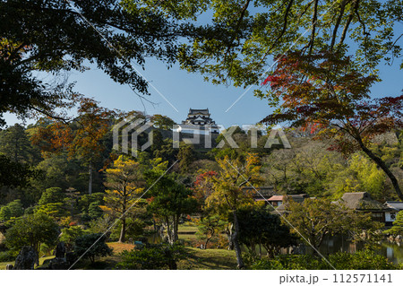 日本 滋賀県彦根市の大名庭園、玄宮園の紅葉と彦根城の天守閣 日本 滋賀県彦根市の大名庭園、玄宮園の紅葉と彦根城の天守閣 112571141