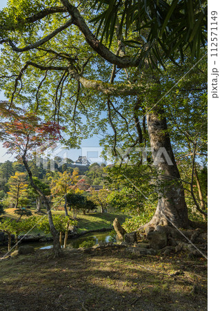 日本 滋賀県彦根市の大名庭園、玄宮園の紅葉と彦根城の天守閣 日本 滋賀県彦根市の大名庭園、玄宮園の紅葉と彦根城の天守閣 112571149