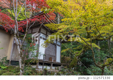 日本　滋賀県愛知郡愛荘町にある湖東三山の一つ、金剛輪寺の明寿院庭園と紅葉 112571330