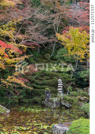 日本　滋賀県愛知郡愛荘町にある湖東三山の一つ、金剛輪寺の明寿院庭園の紅葉 112571337