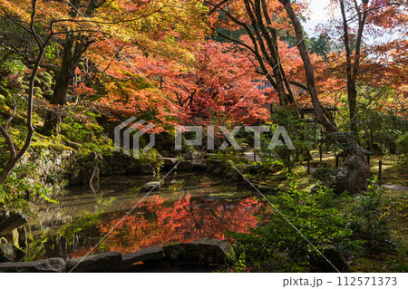 日本　滋賀県愛知郡愛荘町にある湖東三山の一つ、金剛輪寺の明寿院庭園の紅葉 112571373