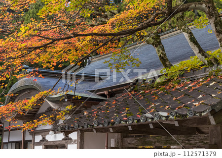 日本 滋賀県大津市にある延暦寺の横川の元三大師堂と紅葉 日本 滋賀県大津市にある延暦寺の横川の元三大師堂と紅葉 112571379