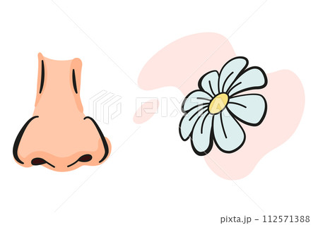 Cartoon sensory organ icon. Nose. Human senses education concept. Vector illustration isolated on white background 112571388