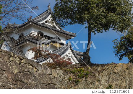日本　滋賀県彦根市にある彦根城の天守閣 112571601