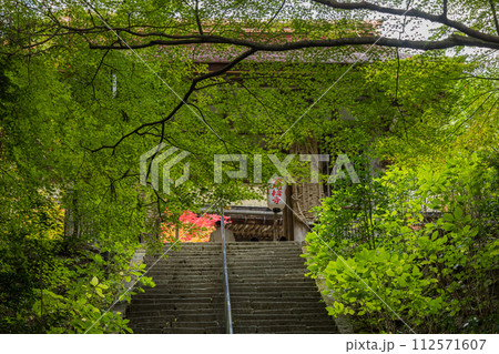 日本　滋賀県愛知郡愛荘町にある湖東三山の一つ、金剛輪寺の二天門 112571607