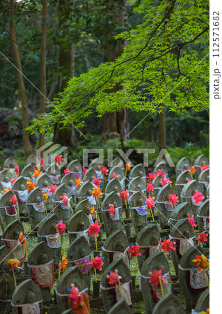 日本　滋賀県愛知郡愛荘町にある湖東三山の一つ、金剛輪寺の千体地蔵 112571682