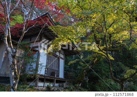 日本　滋賀県愛知郡愛荘町.にある湖東三山の一つ、金剛輪寺の明寿院庭園と紅葉 112571868