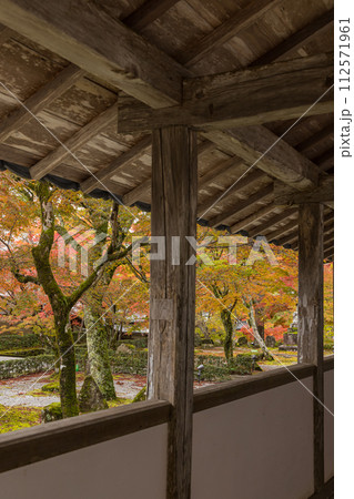日本　滋賀県東近江市にある永源寺の紅葉に染まった開山御手植の楓樹 112571961