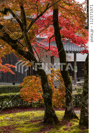 日本　滋賀県東近江市にある永源寺の紅葉に染まった開山御手植の楓樹 112571971