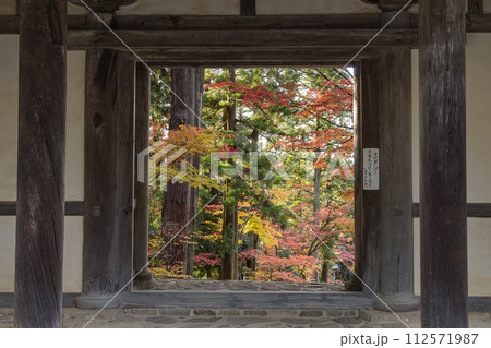 日本　滋賀県犬上郡甲良町にある西明寺の二天門と紅葉 112571987