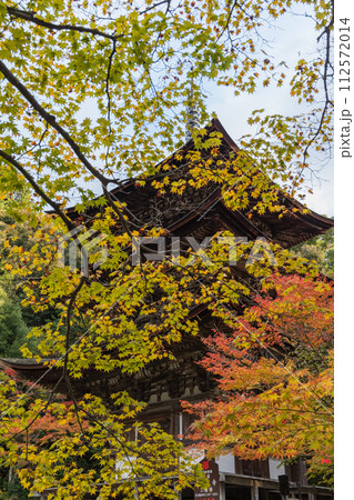日本　滋賀県犬上郡甲良町にある西明寺の三重塔と紅葉 112572014
