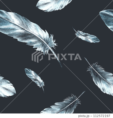 Watercolor seamless pattern with monochrome bird feathers grey black color with granulation of shades, ornaments. Quills wings drawing illustration. Wallpaper wrapping fabric Isolated dark background Watercolor seamless pattern with monochrome bird feathers grey black color with granulation of shades, ornaments. Quills wings drawing illustration. Wallpaper wrapping fabric Isolated dark background 112572197