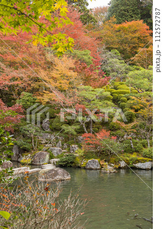 日本　滋賀県東近江市にある湖東三山の一つ、百済寺の本坊喜見院から見える本坊庭園と紅葉 112572787