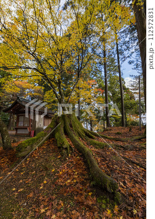 日本　滋賀県大津市にある延暦寺の東塔の境内の紅葉 112572831