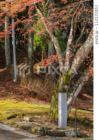 日本　滋賀県大津市にある延暦寺の東塔の境内の紅葉 112572851