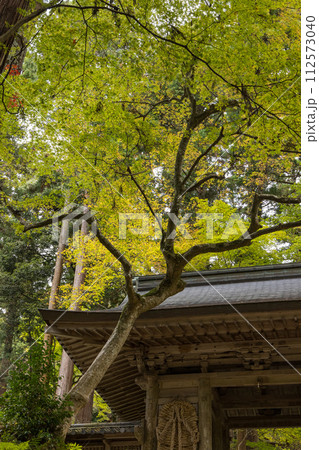 日本　滋賀県東近江市にある湖東三山の一つ、百済寺の仁王門と紅葉 112573040