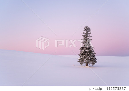 北海道美瑛夜明け前の雪が積もったクリスマスツリーの木 北海道美瑛夜明け前の雪が積もったクリスマスツリーの木 112573287