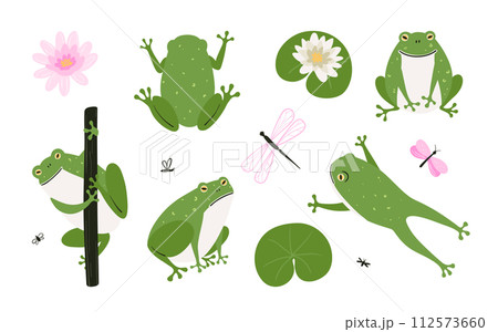 Set of cute cartoon frogs. Simple hand drawn illustration of nature 112573660
