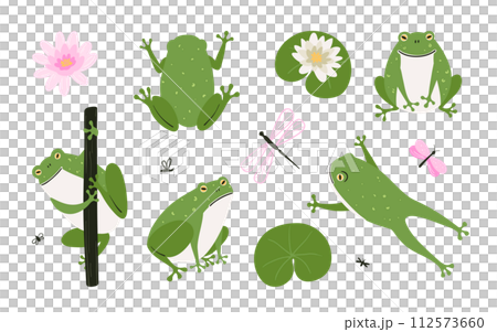 Set of cute cartoon frogs. Simple hand drawn illustration of nature 112573660