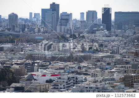 練馬区役所展望台からの風景 112573662